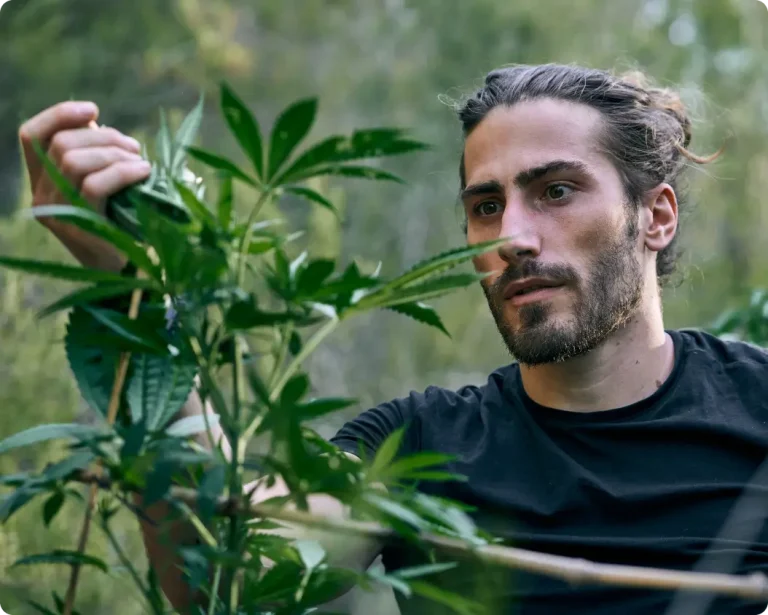 Marijuana-THC Awareness Program